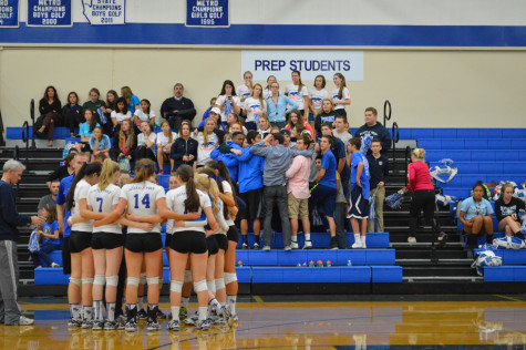 Panthers Serve their way into State