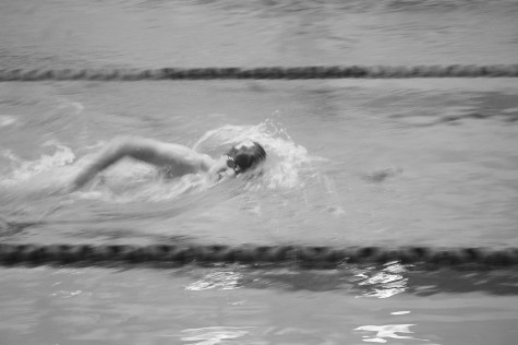 Panthers Take to the Water