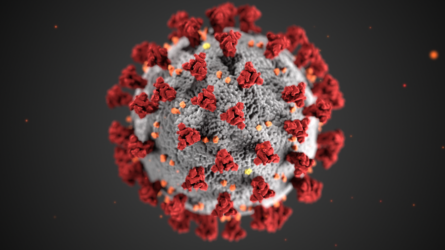 The COVID-19 (Coronavirus) which has caused health problems for many throughout the Seattle area. Concerns over the Coronavirus have caused all schools in Washington to shut down.