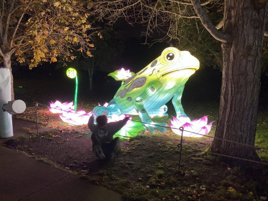 Sophomore Charles Cook Poses By A Frog Lantern at Woodland Park Zoos WildLanterns