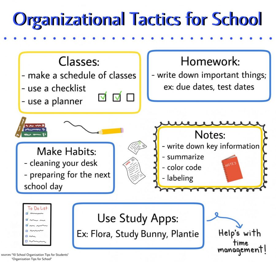 Organizational Tactics for Online School