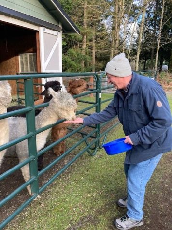 Kent Hickey feeding an alpaca