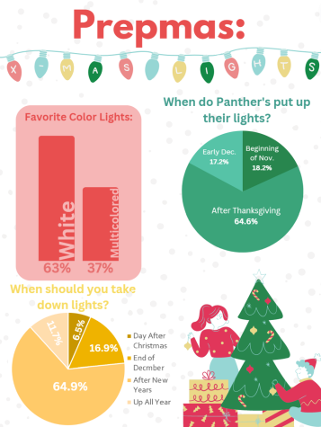 Graphic: Christmas Lights Poll