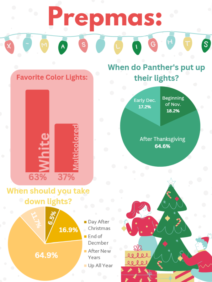 Graphic: Christmas Lights Poll