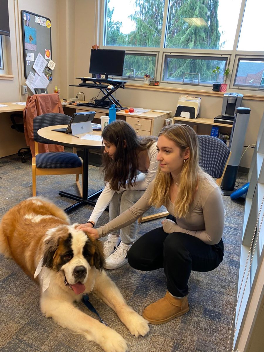 Students pet Augie the dog during Doggy Downtime, one of several new Window period workshops.