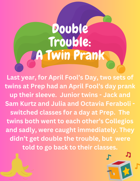 Double Trouble:  A Twin Prank